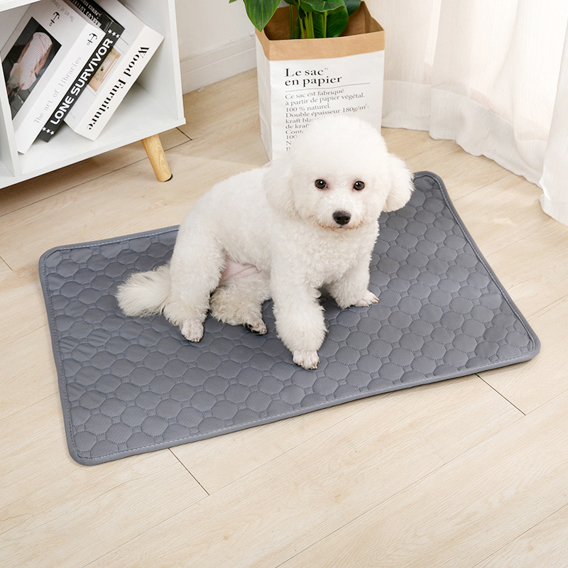 Yeniden Kullanılabilir Köpek Ç - Mattress Protector Waterproof incelemesi ve fiyatı
